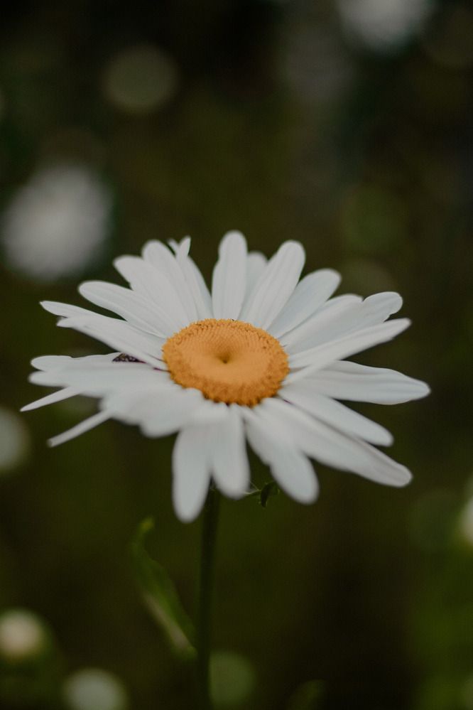 Photograph by Анна Котлярова