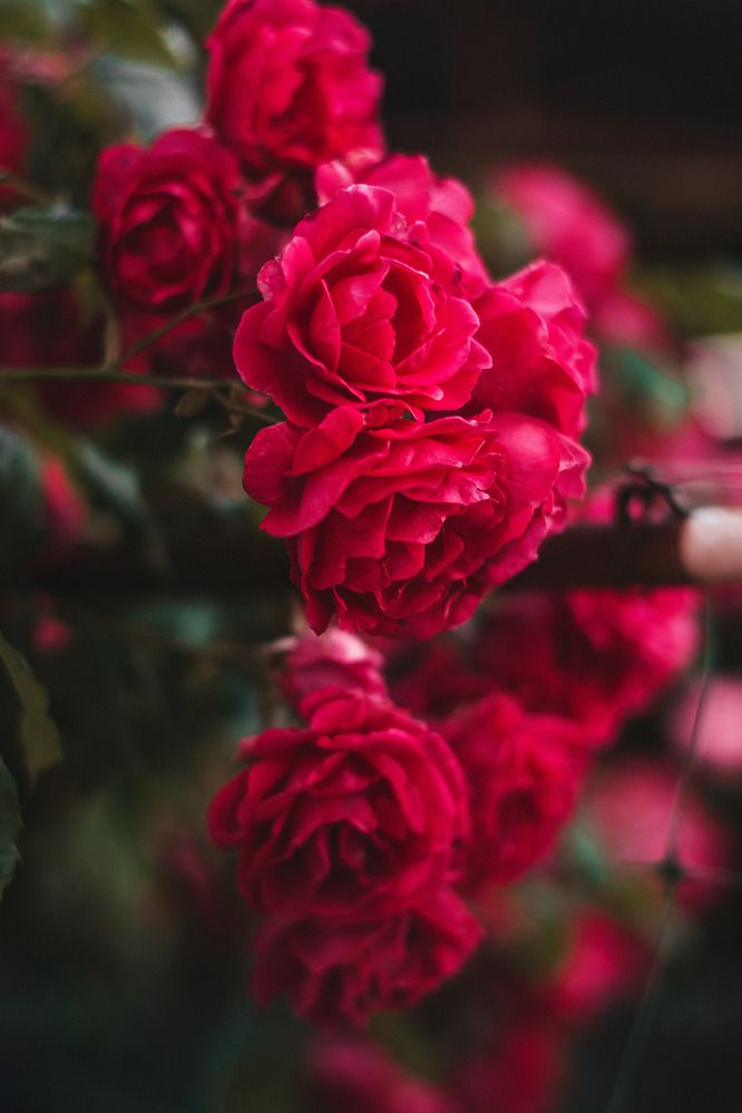 Photograph by Анна Котлярова