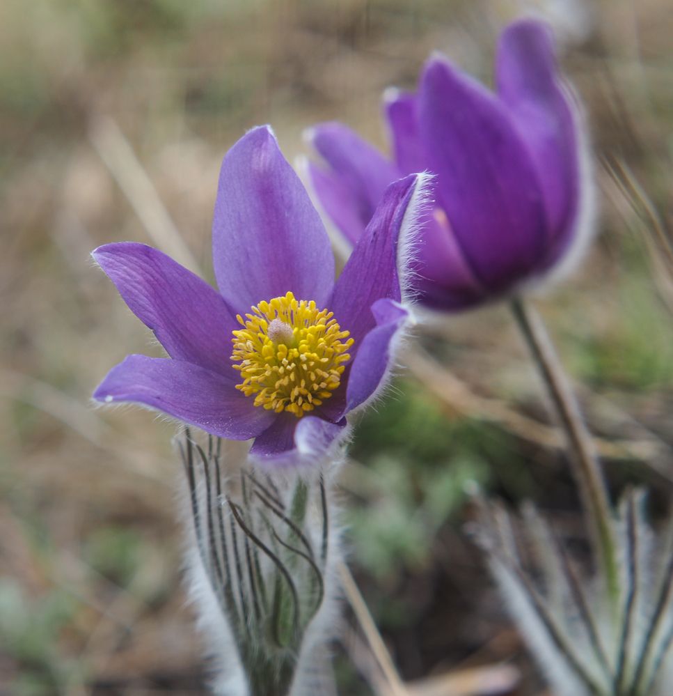 Фотография автора Гоголев Игорь