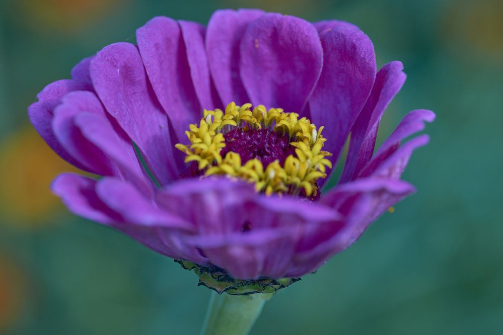 Photograph by Игорь Зиновьев