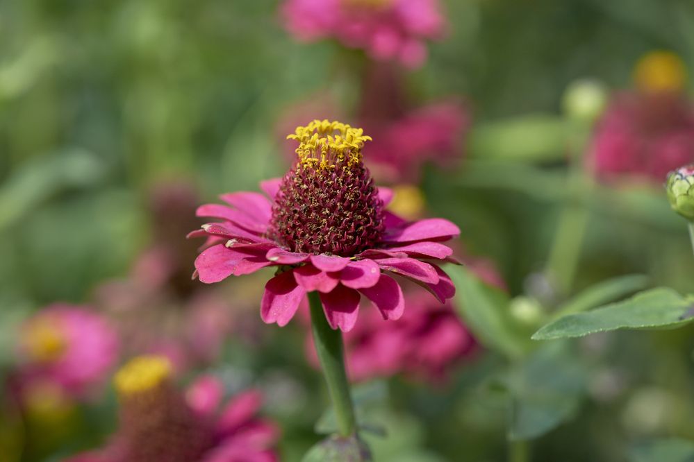 Photograph by Игорь Зиновьев