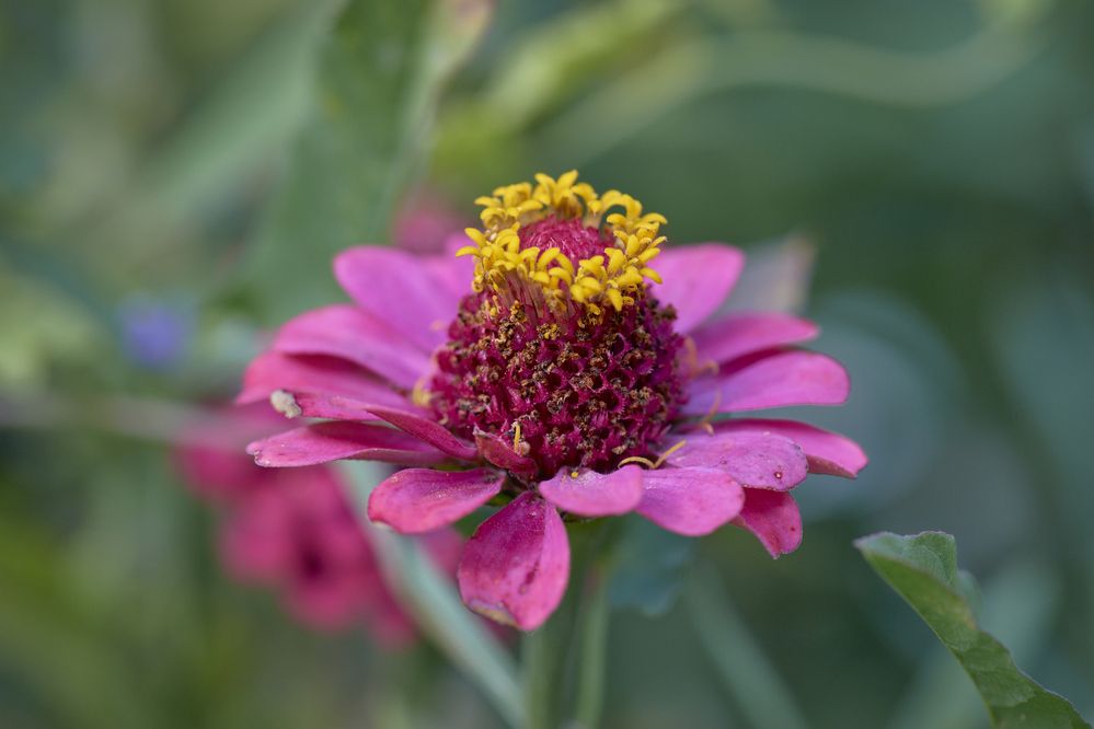 Photograph by Игорь Зиновьев