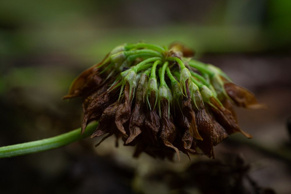 Photograph by Андрей Мичурин