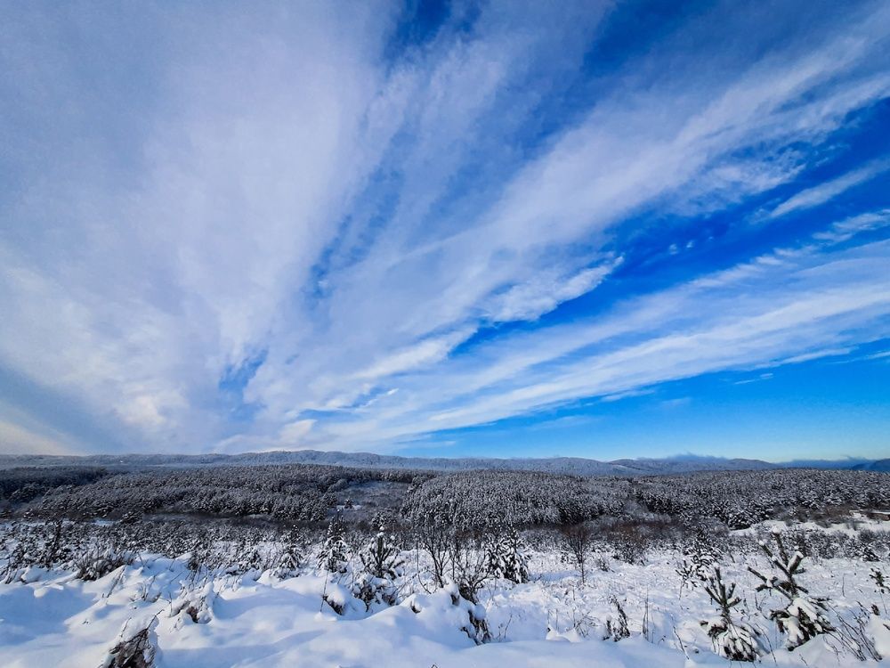 Photograph by Елена Гарипова