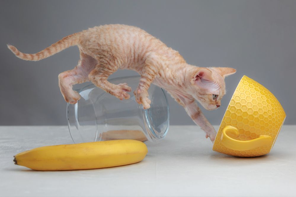 Photograph by Зубкова Юлия