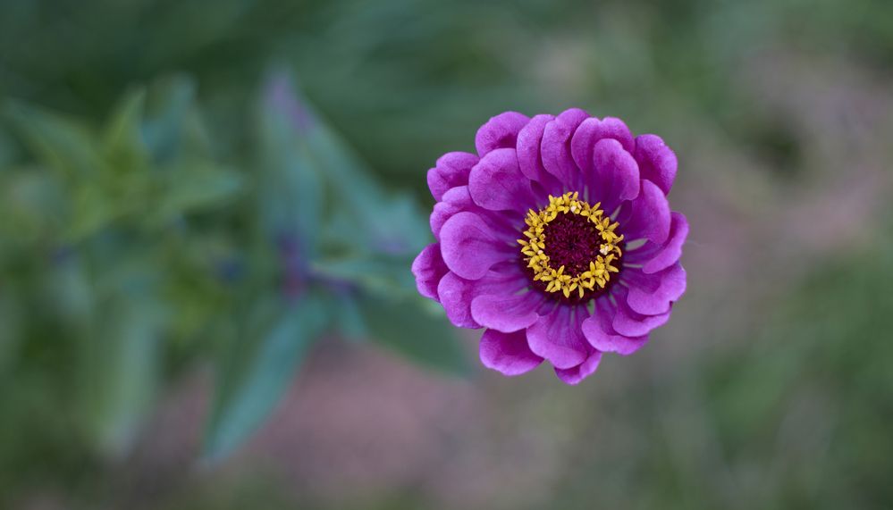 Photograph by Игорь Зиновьев