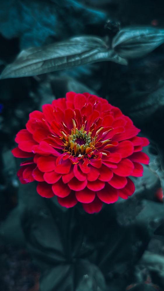 Фотография автора Елизавета Синицына