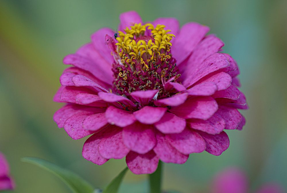 Photograph by Игорь Зиновьев