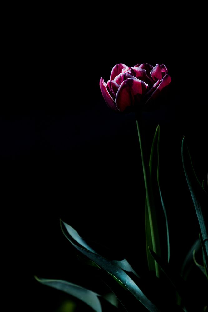 Photograph by Евгений Гонтов