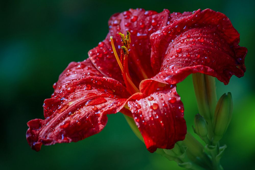 Photograph by Евгений Гонтов