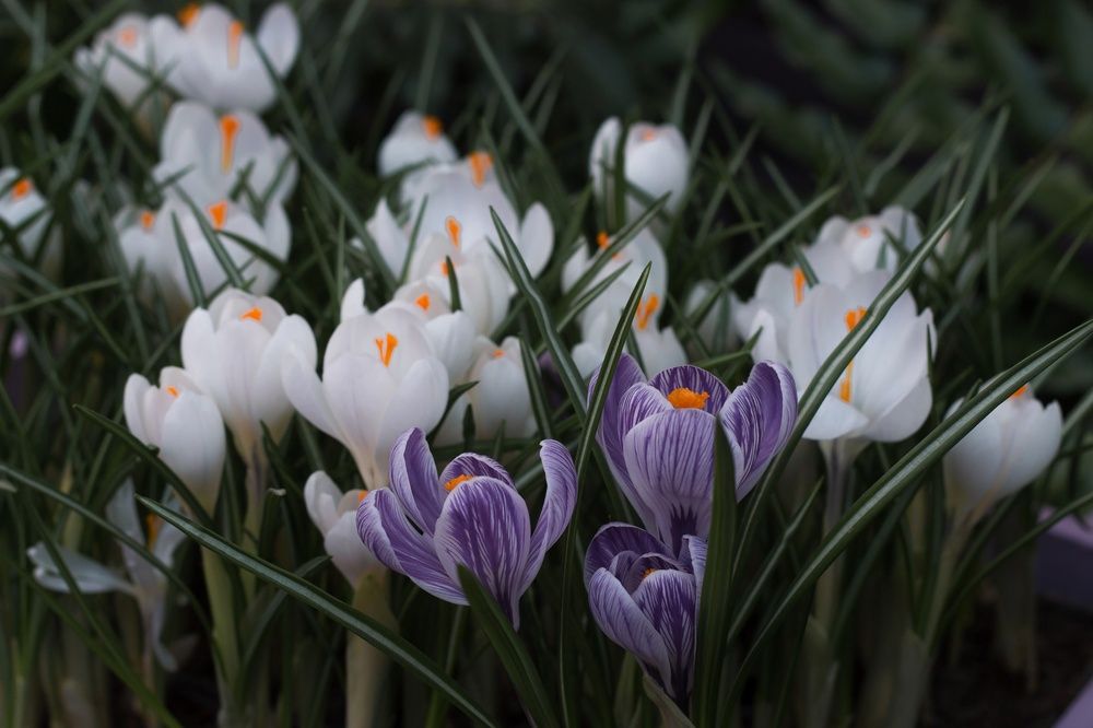 Photograph by Надежда Виденина