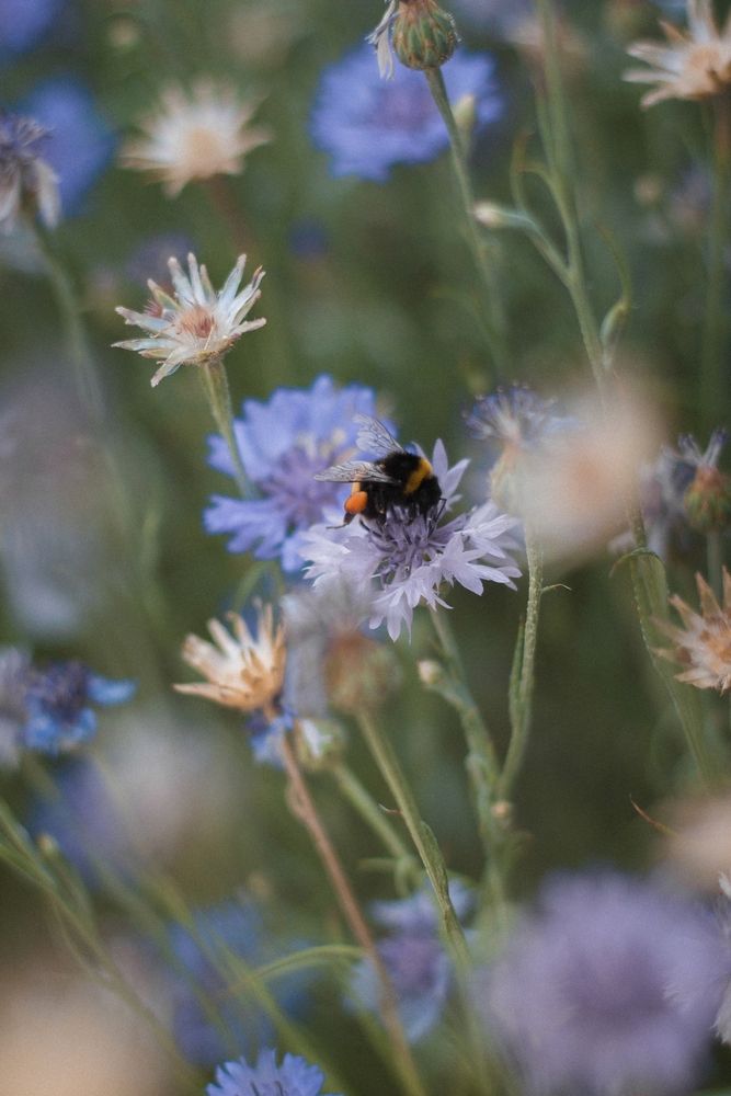Photograph by Надежда Виденина