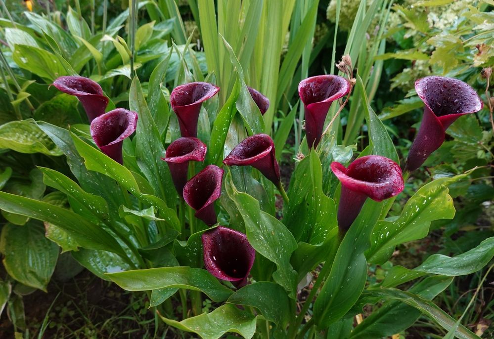 Photograph by Ионова Татьяна