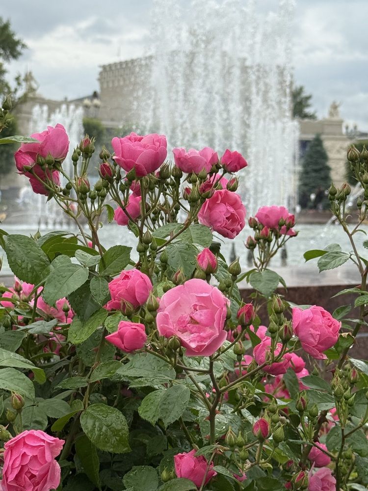 Photograph by Ольга Осинина