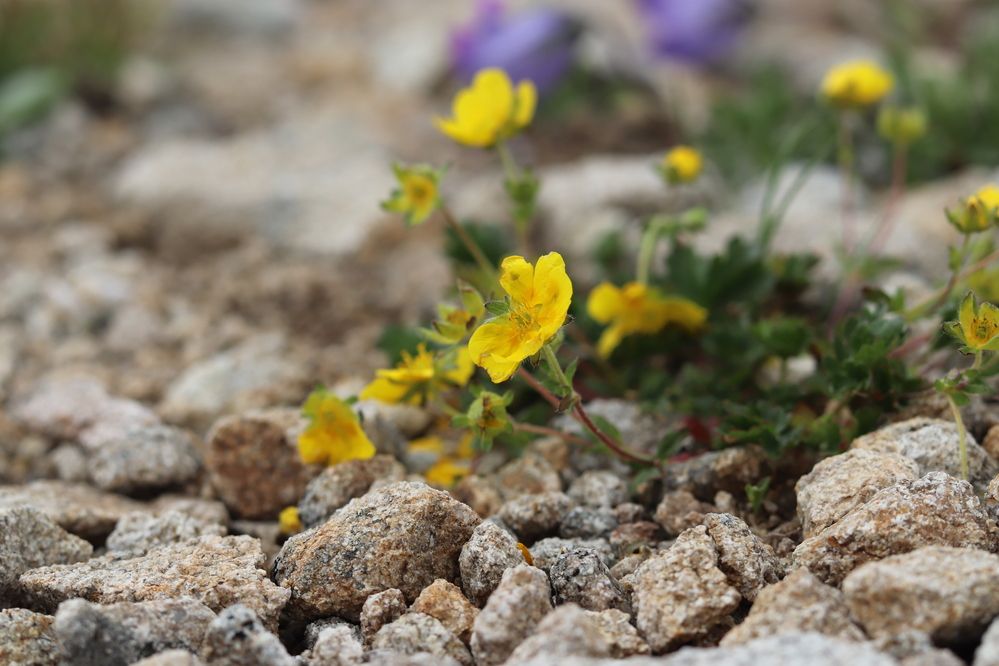 Photograph by Екатерина Самошкина