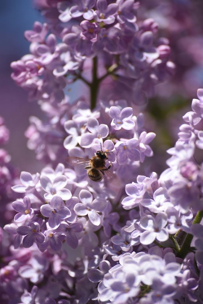 Photograph by Наталья Маслова