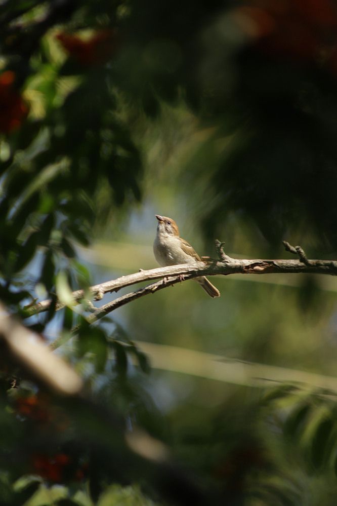 Photograph by Елена Гостева