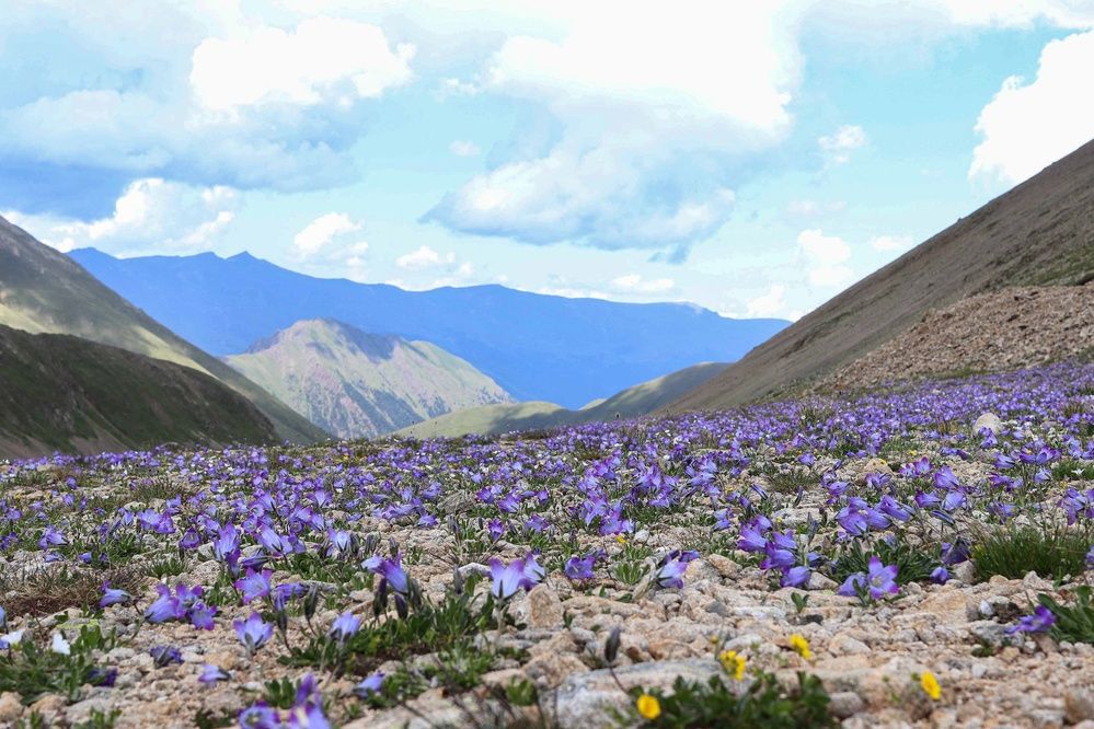 Photograph by Екатерина Самошкина