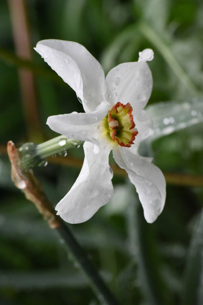 Photograph by Наталья Маслова