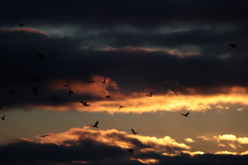 Photograph by Елена Гостева