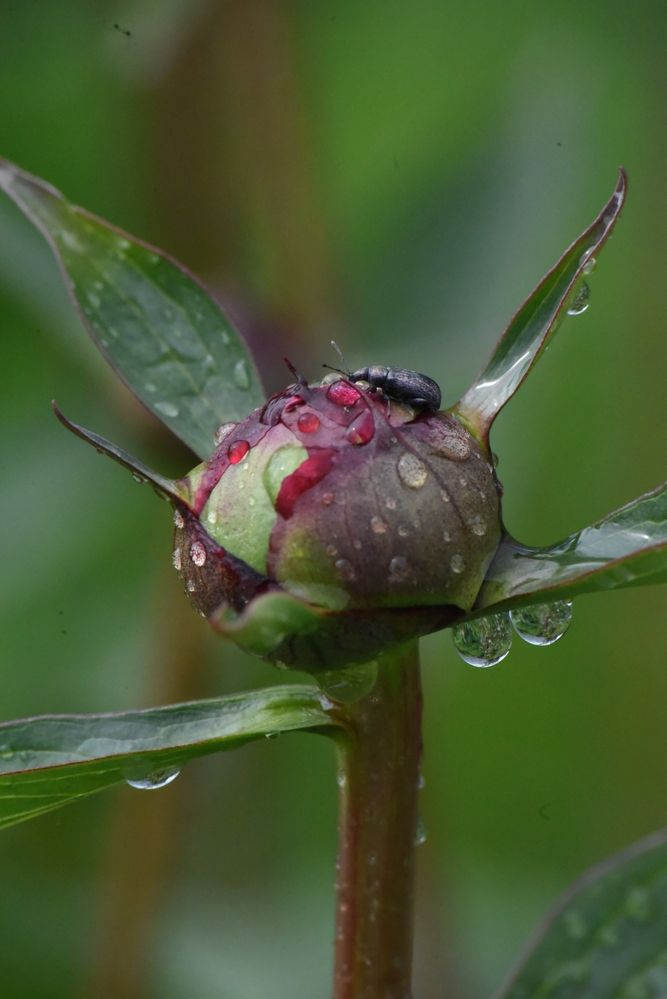 Photograph by Наталья Маслова