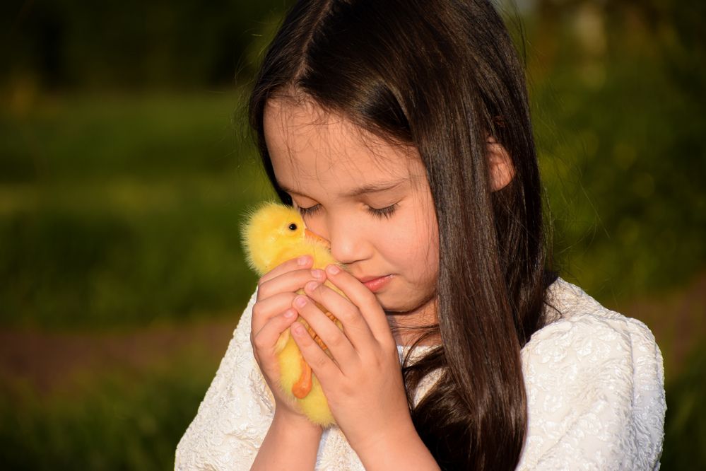 Photograph by Андрей Куракин