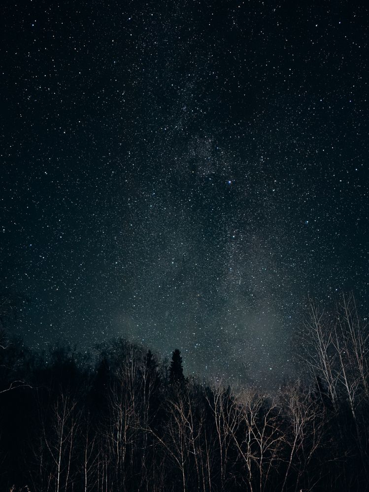 Photograph by Алиса Нежинская