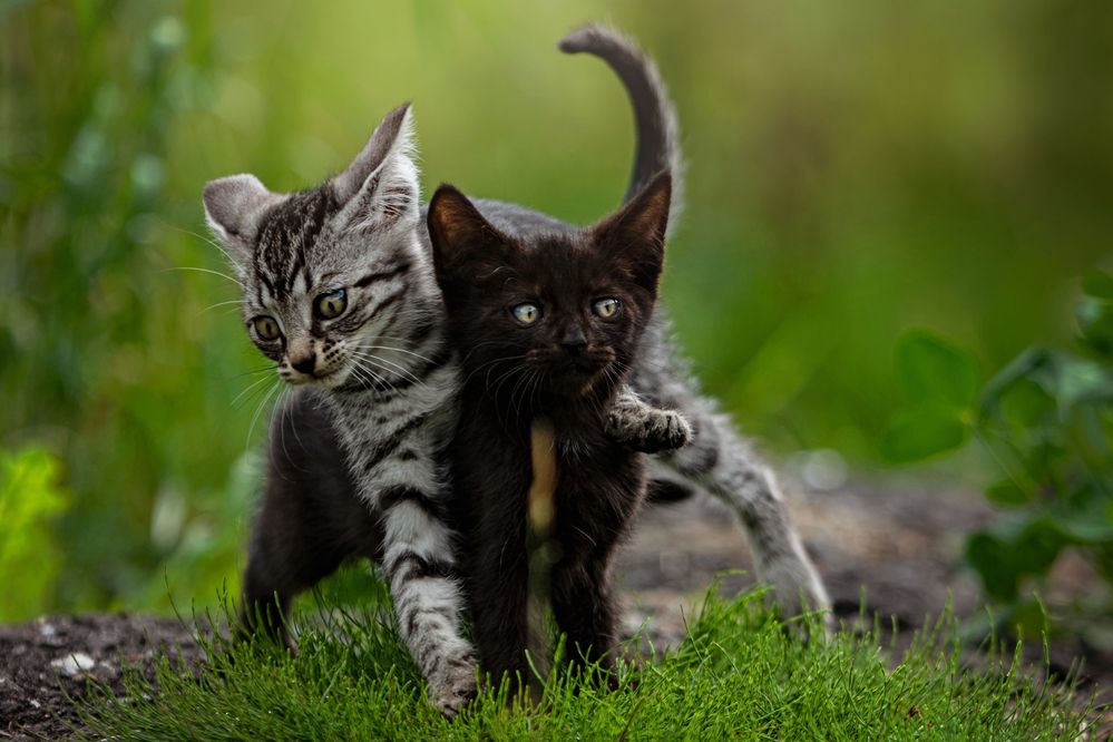 Photograph by Зубкова Юлия