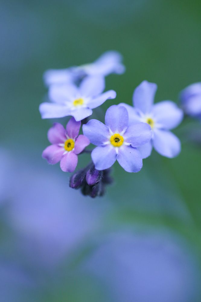 Photograph by Надежда Зайцева