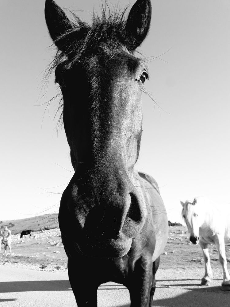 Photograph by Damir Gržin