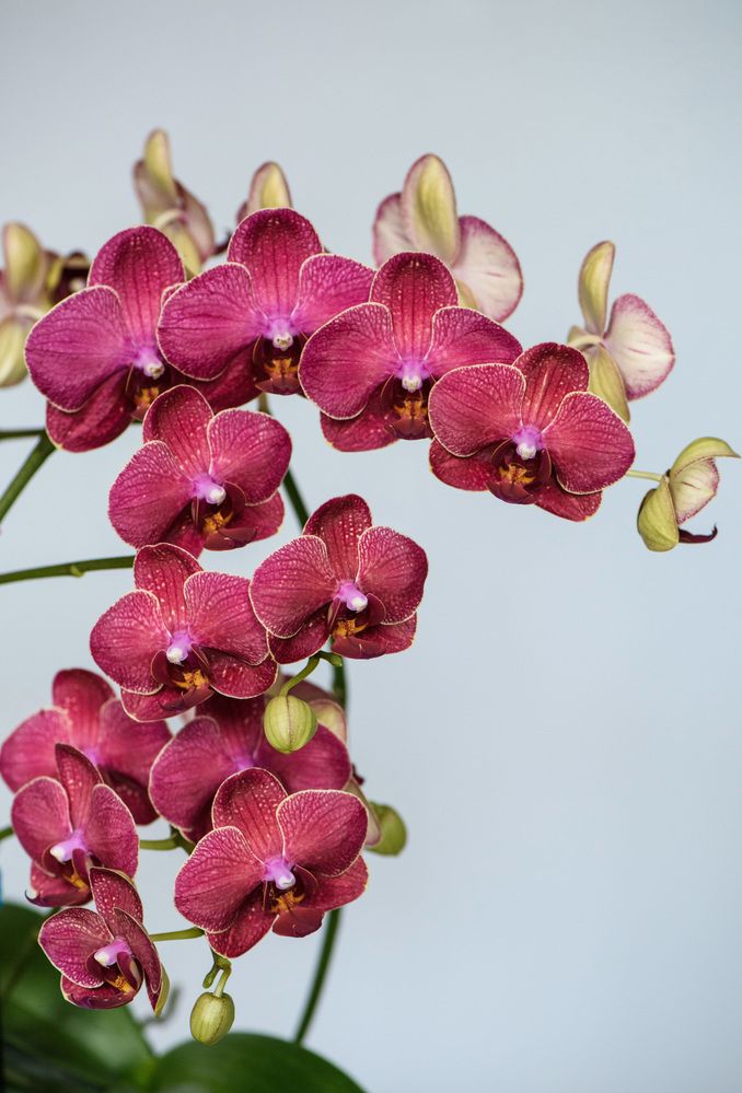 Photograph by Каревская Нелли