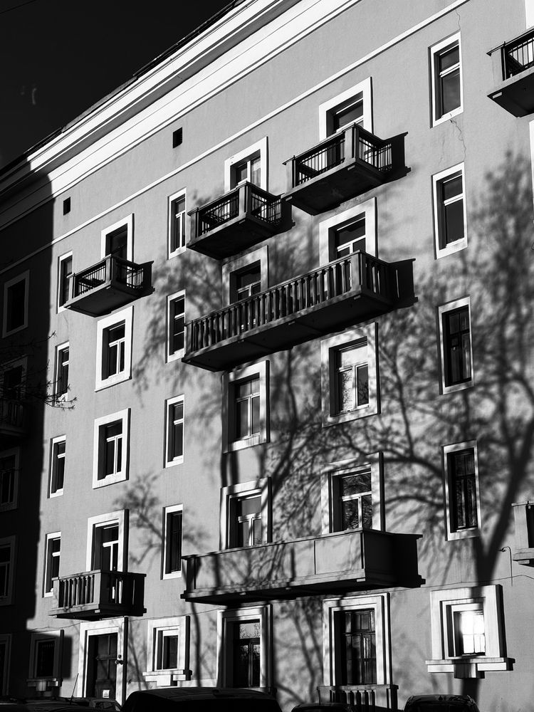 Photograph by Алиса Нежинская