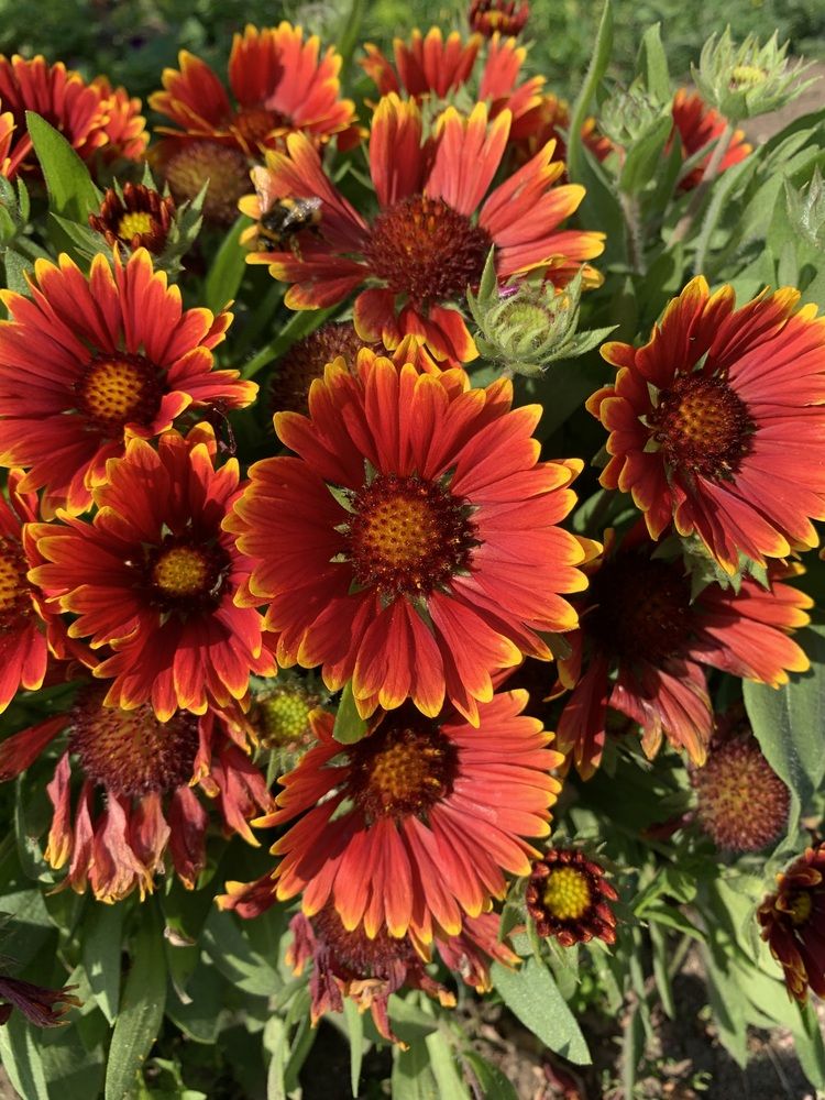 Photograph by Игорь Ребров