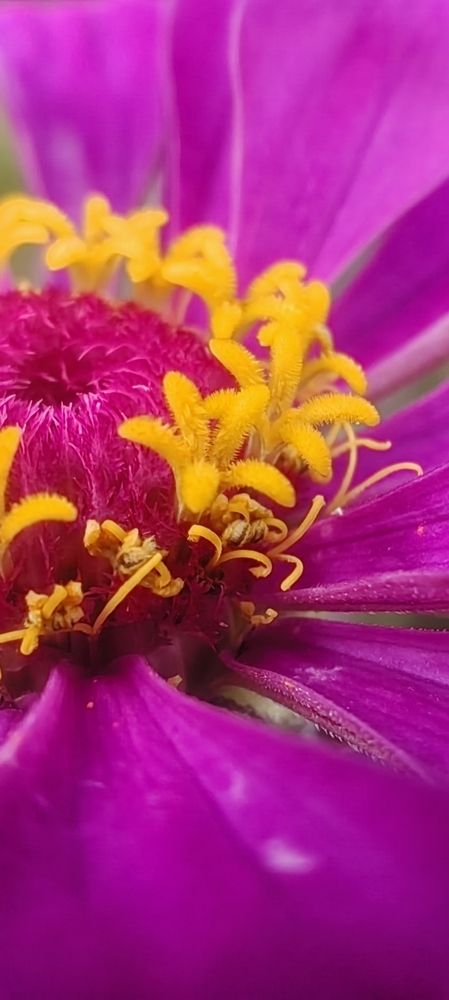 Photograph by Анастасия Семилетова