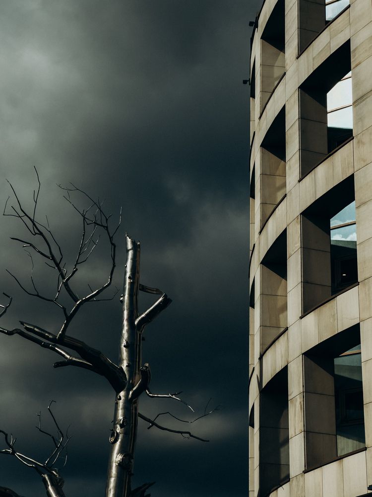 Photograph by Алиса Нежинская
