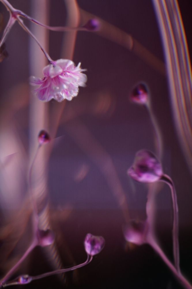 Photograph by Арина Арчакова