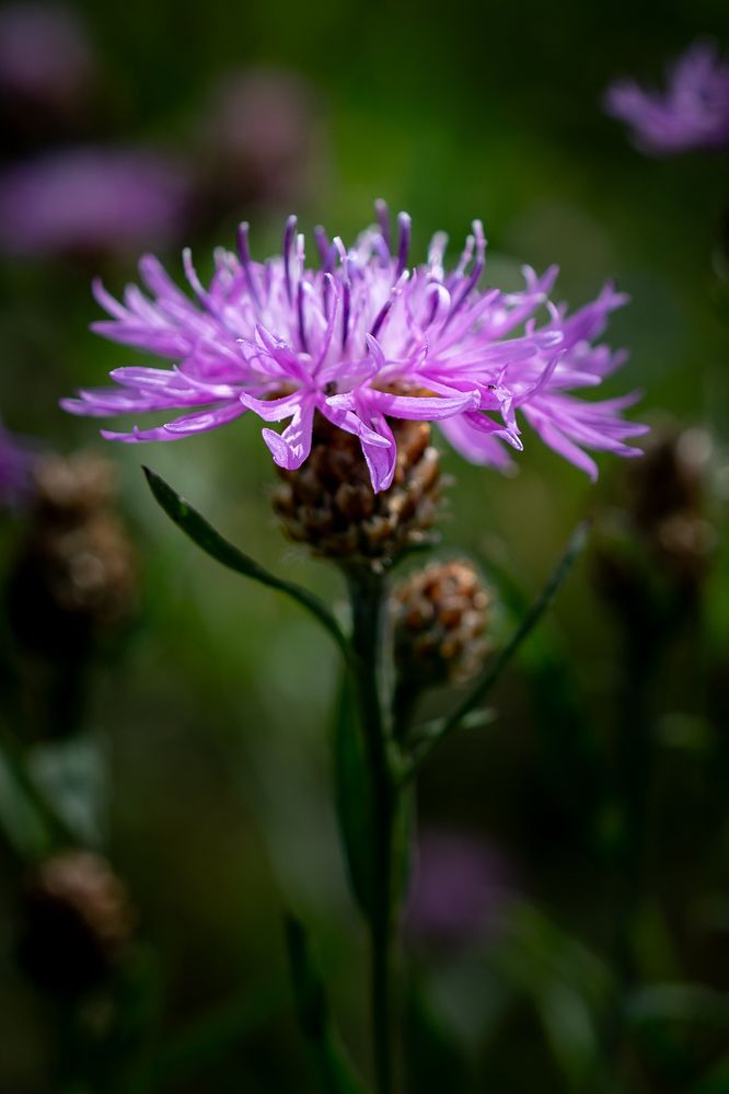 Photograph by Клейменов Алексей