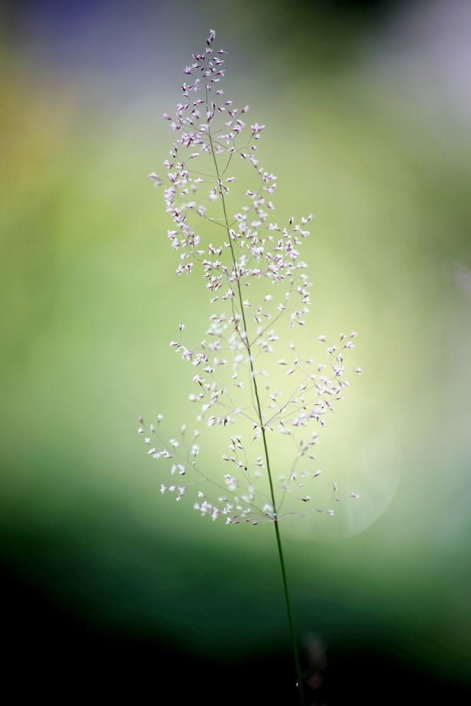 Photograph by Артем Великанов