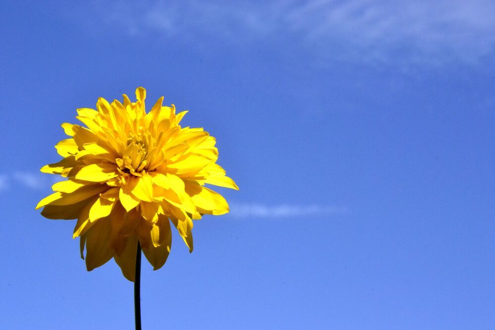 Photograph by Артем Великанов