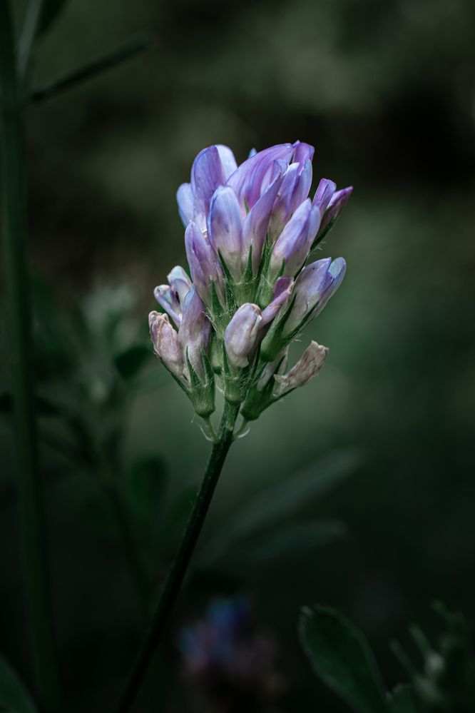 Photograph by Клейменов Алексей