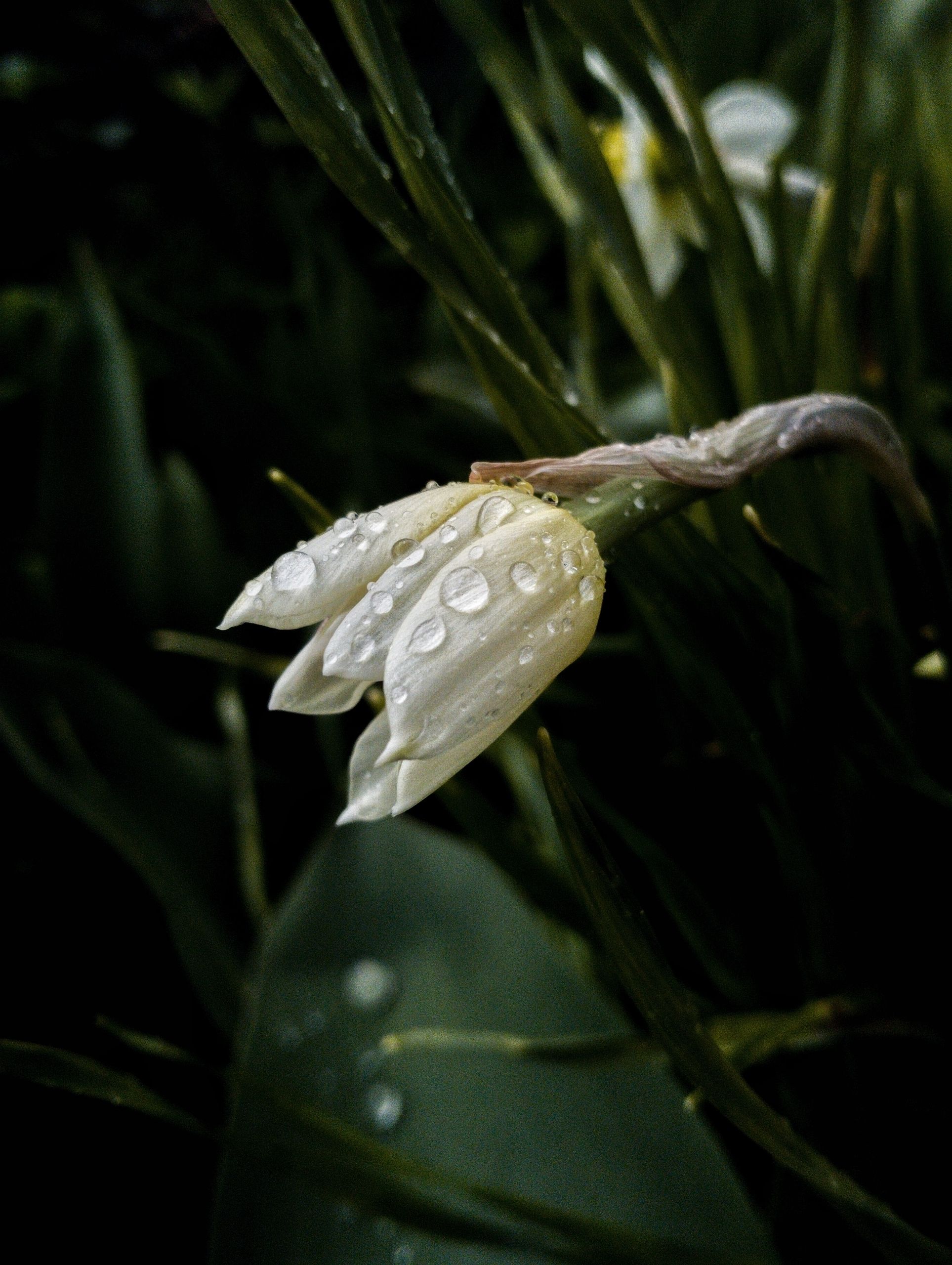 Photograph by Артем Великанов