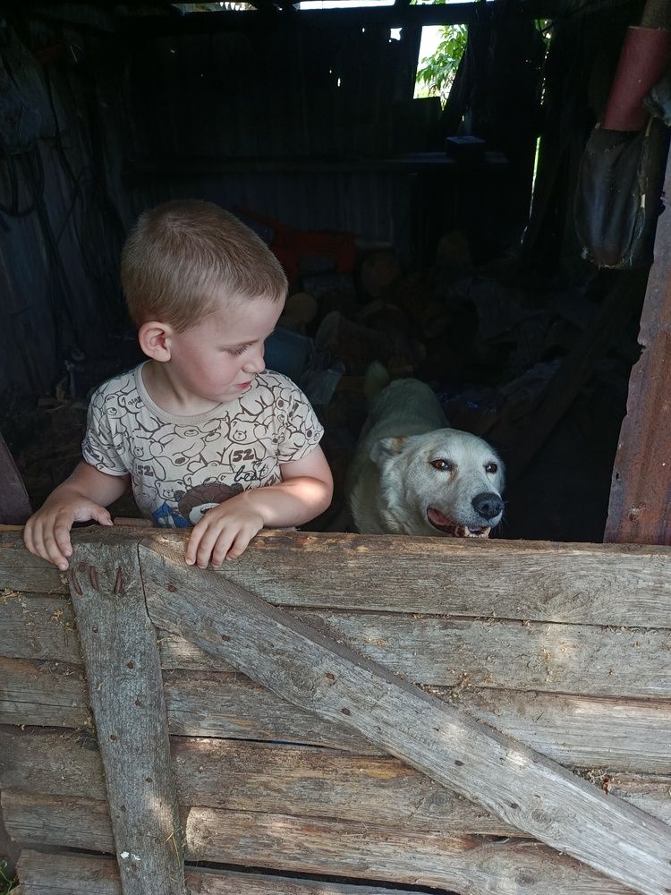 Photo #12505044