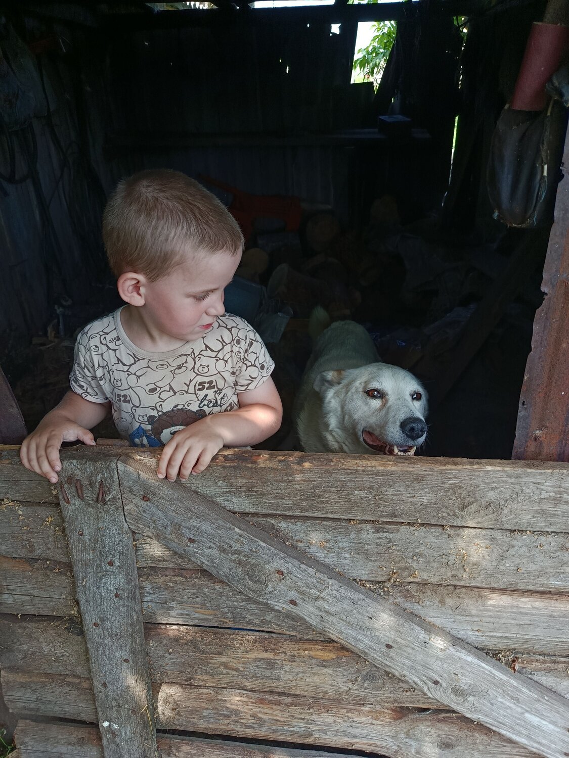 Photo #12505044