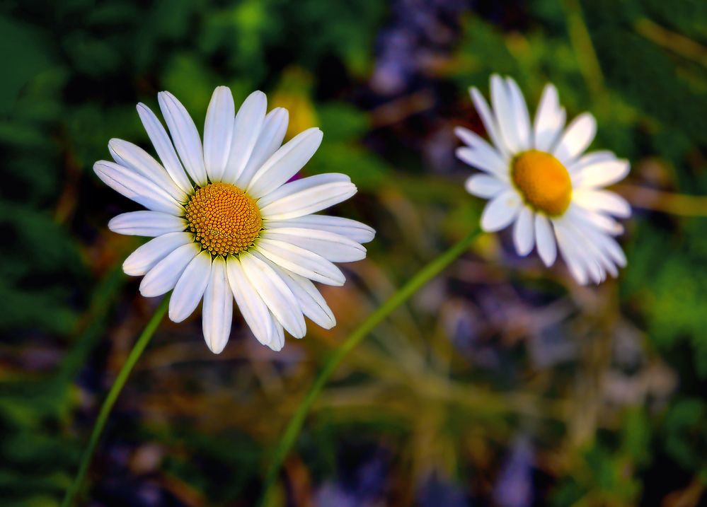 Photograph by Валентин Кузьмин