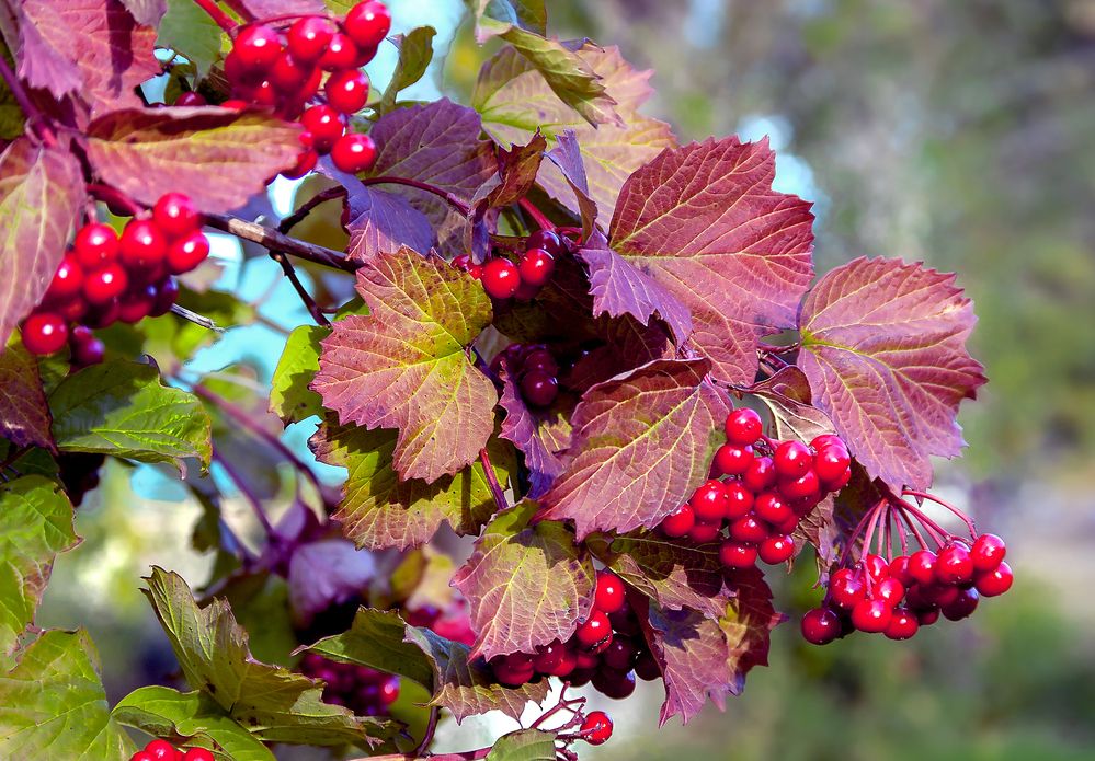 Photograph by Валентин Кузьмин