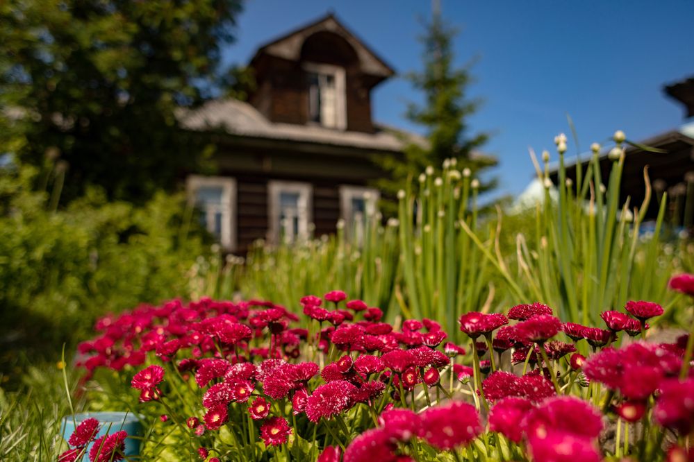 Photograph by Валентин Кузьмин