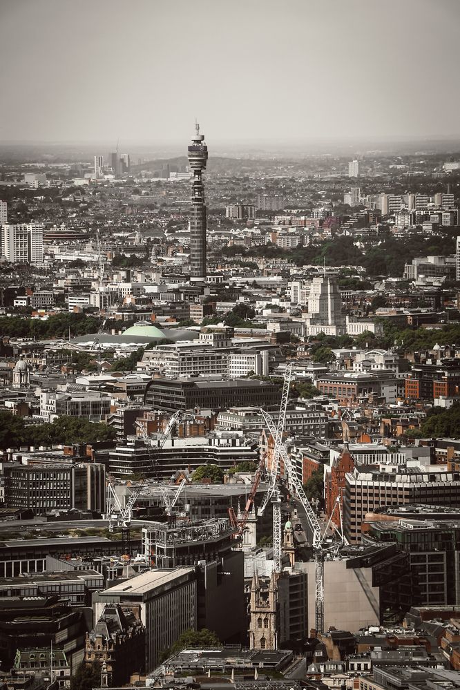 Photograph by Anton Krol