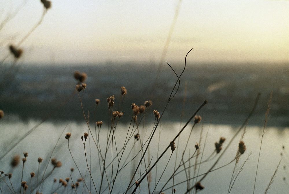 Photo #12505132