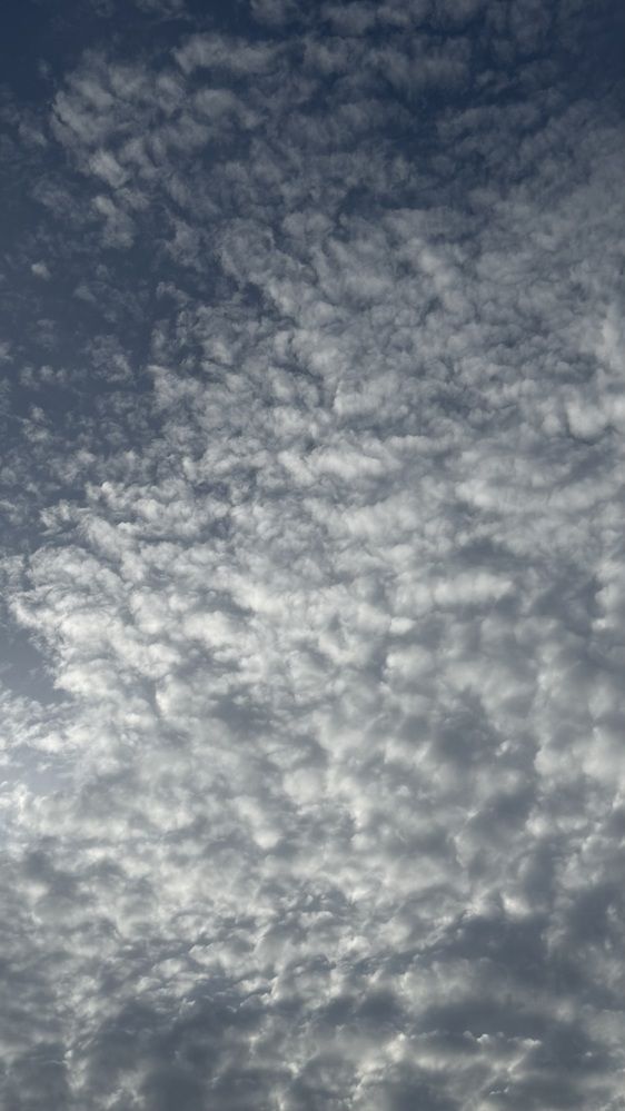 Photograph by Waleed Yousuf Alwahaibi