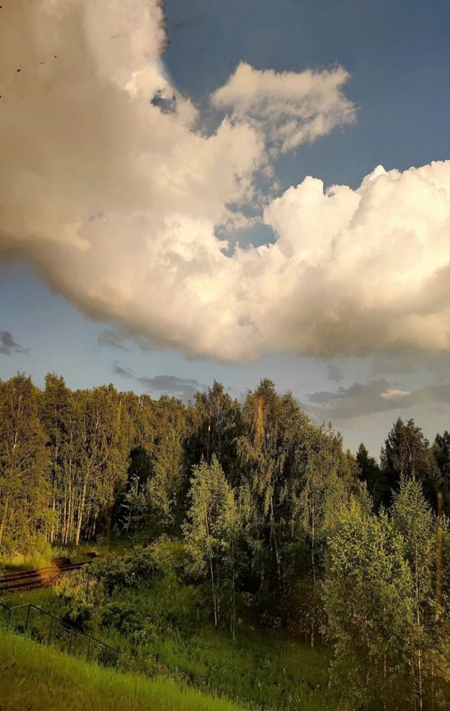 Photograph by Елена Бородулина